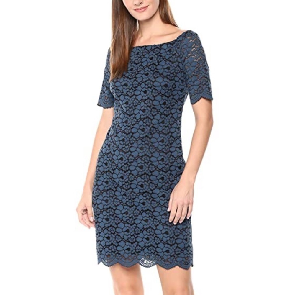 Lark & Ro blue & black lace dress, NWOT, 14